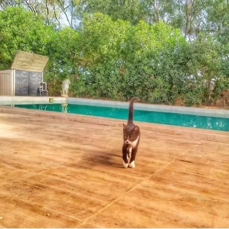 Granja De Caballos El Girasol פארק נופש צ'יקלנה דה לה פרונטרה