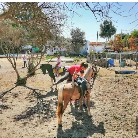 Granja De Caballos El Girasol פארק נופש